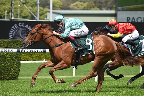 gimcrack tips|Horse Racing .